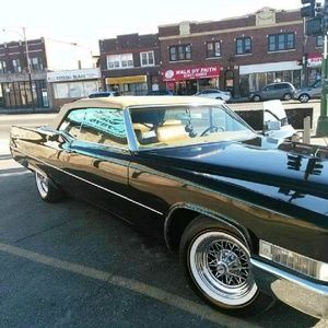 Meet your Posher, Phillip